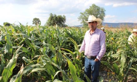 Capacitan a agricultores de Manuel Doblado