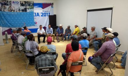 Hacen pacto ladrilleros con municipio de Manuel Doblado