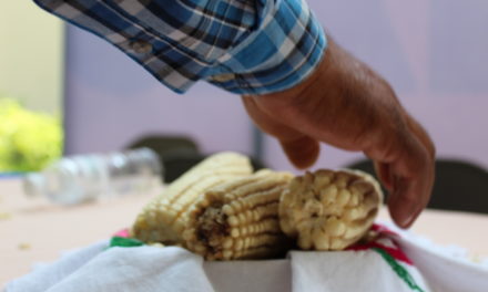 Agricultores francorrinconeses reciben semilla para cultivo
