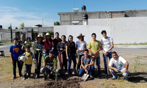 Plantan árboles en Villas del Maguey