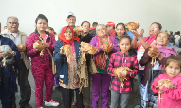 En San Francisco del Rincón apoyan con aves a 250 familias
