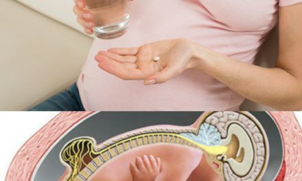 ¿Espina bífida? ¿Qué es? ¿Cómo afecta a mi bebé?