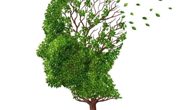 El Rincón del IMSS: ¿Qué es el Alzheimer?
