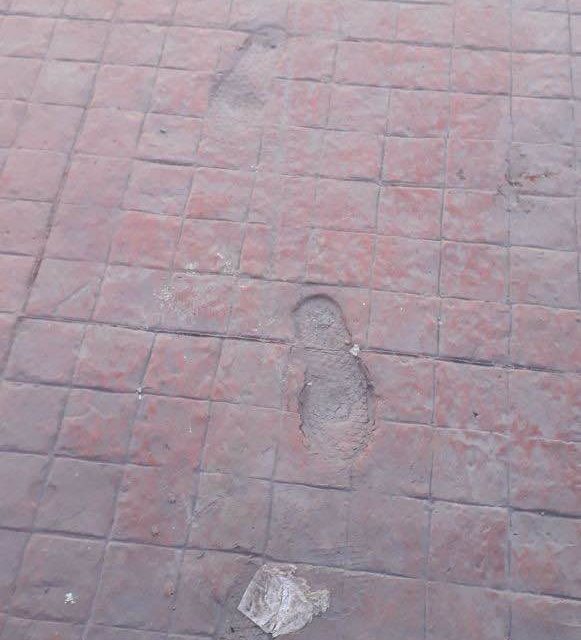 Denuncia SAPAF daños en obra de la calle Carranza