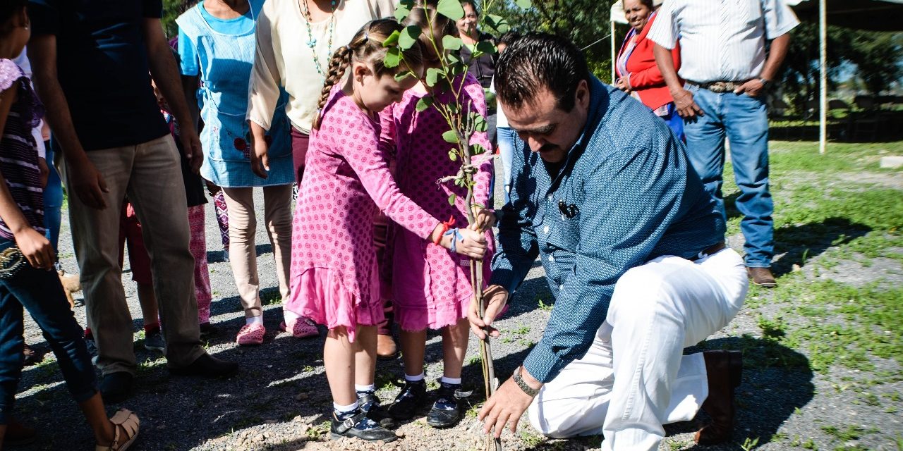 Plantan árbol 15 mil en San Francisco del Rincón