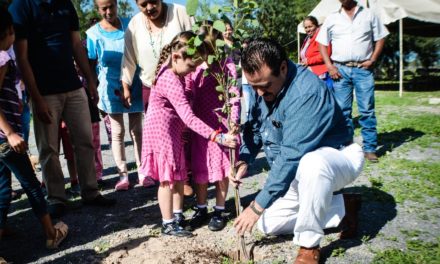 Plantan árbol 15 mil en San Francisco del Rincón