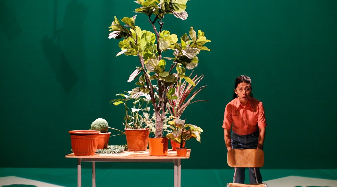 Teatro de plantas en el Cervantino