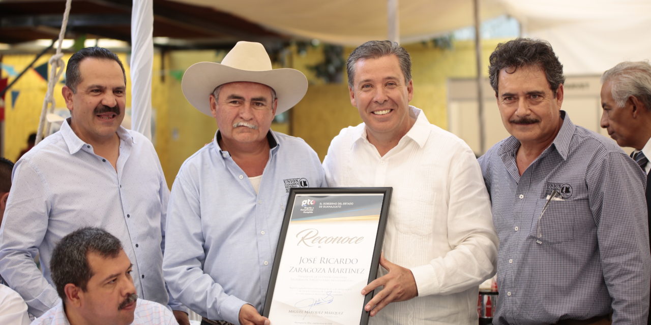 Guanajuato, sexto lugar en producción porcícola