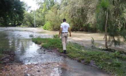 En Purísima del Rincón, elementos de Protección Civil vigilan ante crecimiento de ríos