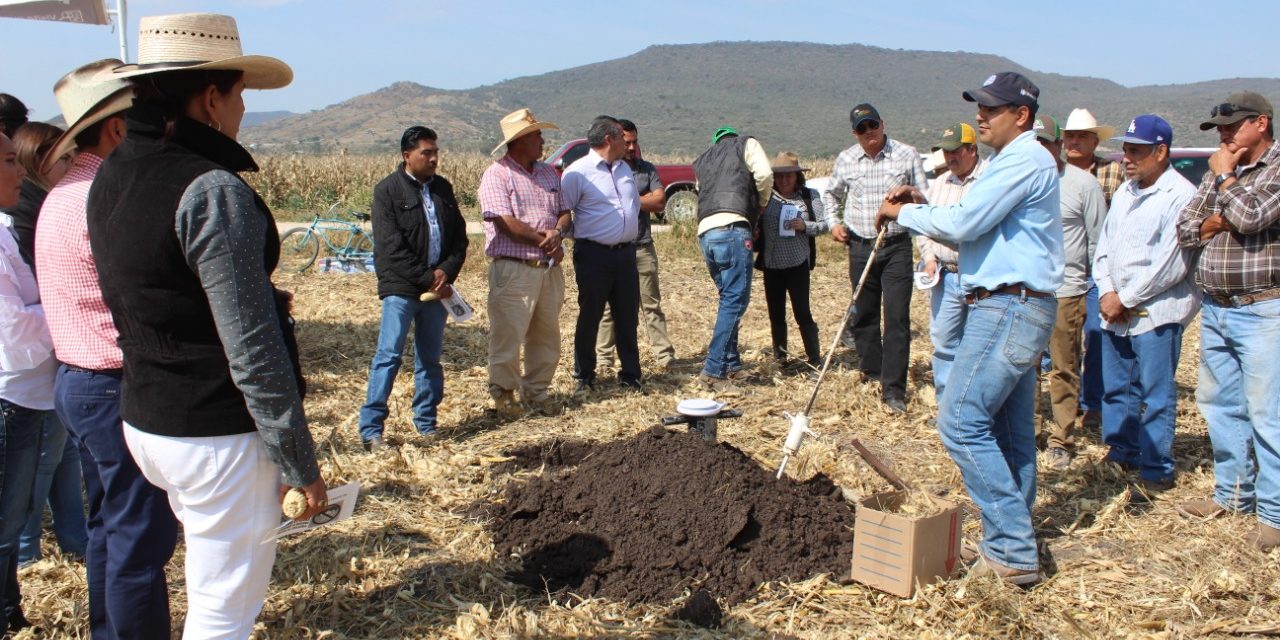 Agricultores de Purísima del Rincón participarán en el «Reto Rastrojo»