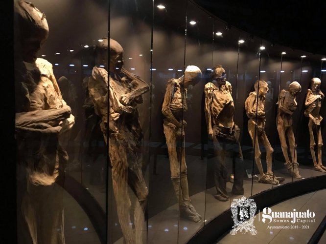 Museo de las Momias hace recaudación histórica durante última semana de 2018
