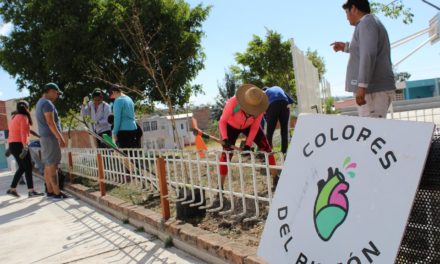 Sociedad y gobierno reforestan colonia El Carmen