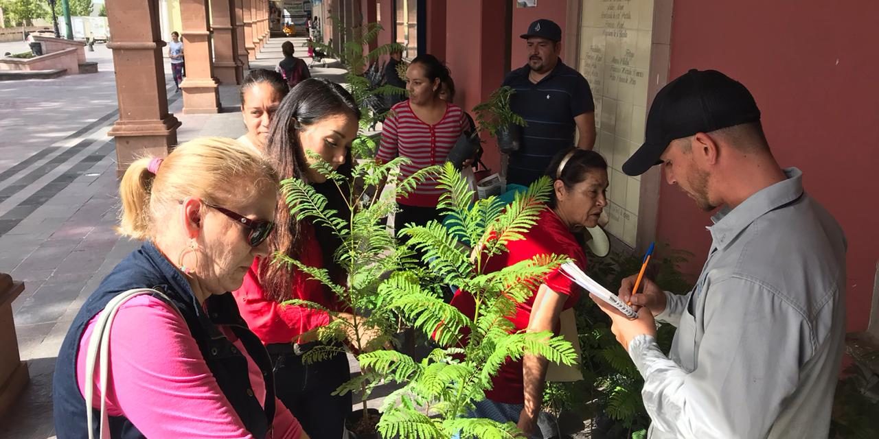 Plantan 400 árboles en Purísima, por el Día del Árbol