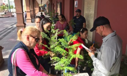 Plantan 400 árboles en Purísima, por el Día del Árbol