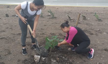 Plantan 200 árboles de colorín en Purísima del Rincón