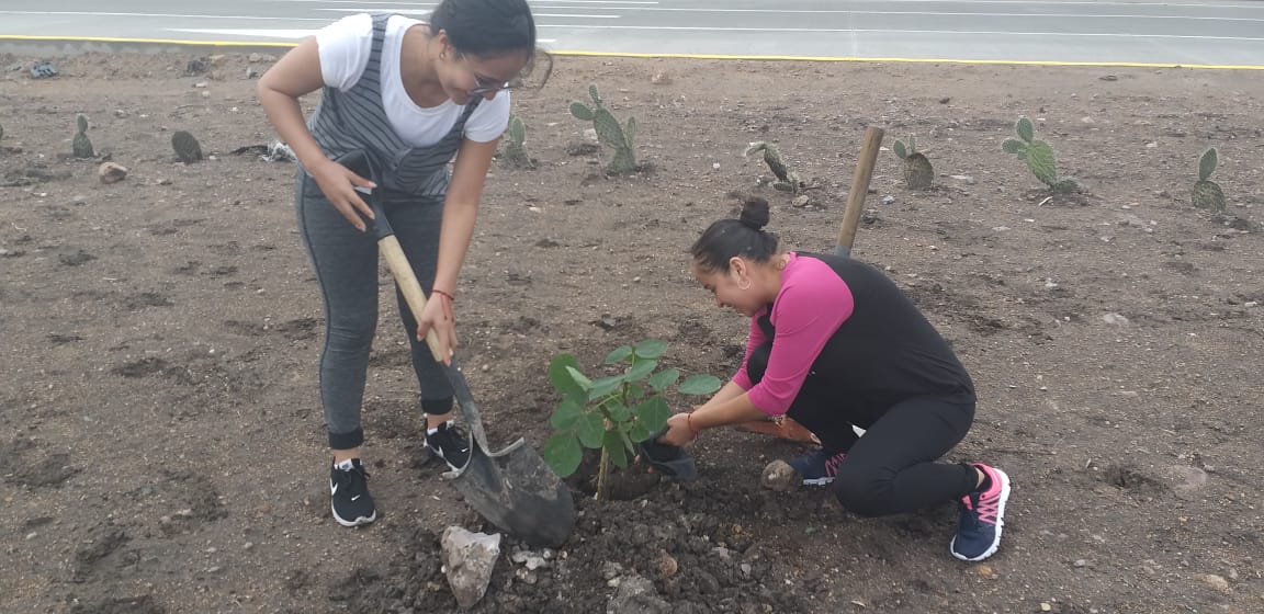 Plantan 200 árboles de colorín en Purísima del Rincón