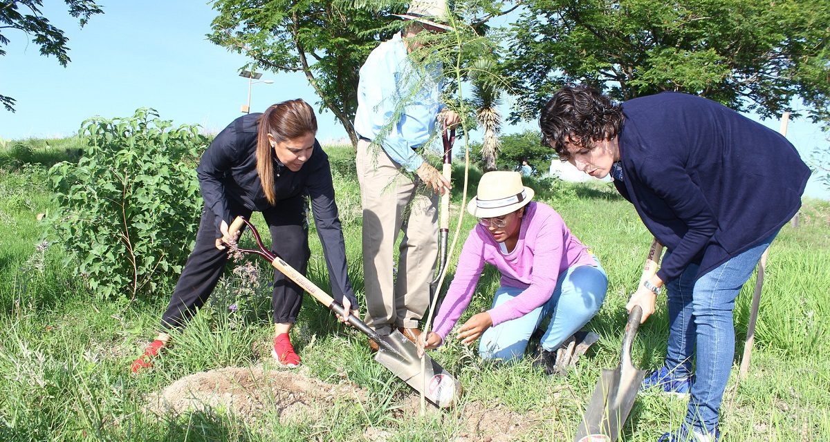 200 árboles más en instalaciones del Parque Bicentenario
