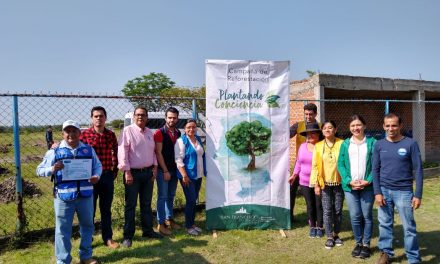 Plantan 250 árboles en comunidad de San Francisco del Rincón