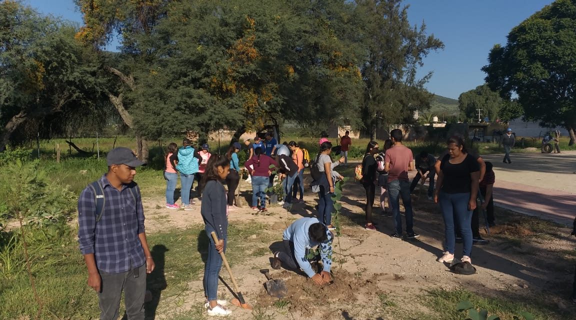 Sigue la recuperación de flora nativa en Purísima del Rincón