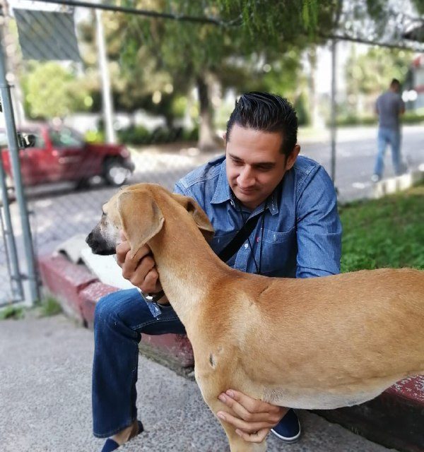 En León brindan atención médica a mascotas rescatadas
