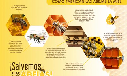 Promueven el cuidado a las abejas en 3º encuentro Apícola-Agrícola