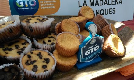 Buscan fortalecer empresas de Silao con distintivo Marca GTO