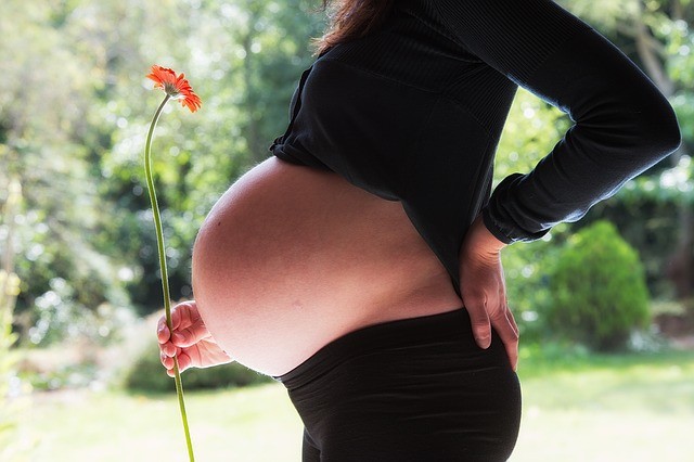 Pide IMSS extremar precauciones a embarazadas