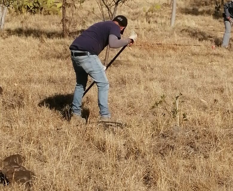 Dan mantenimiento a eco-parque Mil Azahares