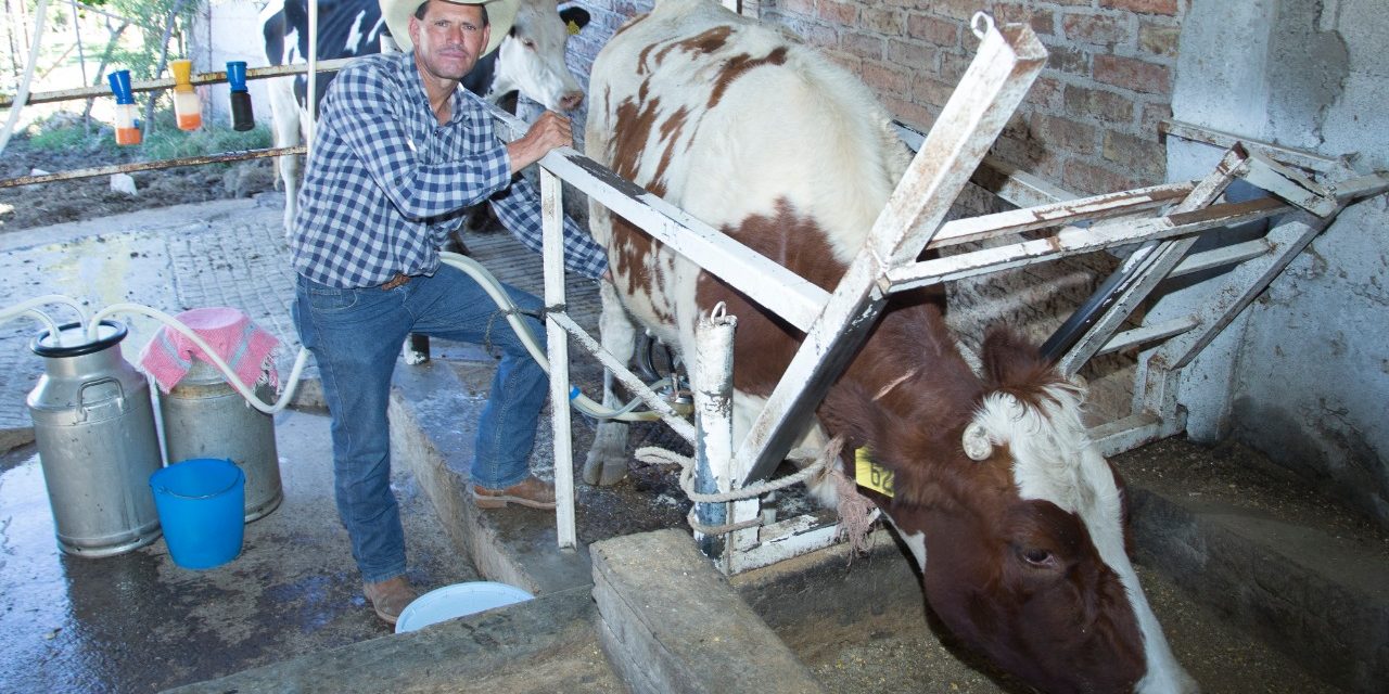 Estado de Guanajuato apoya a productores de leche con bodega de almacenamiento