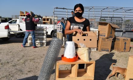 Apoyan a 75 familias de Purísima del Rincón con aves de corral