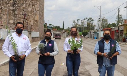 DIF Manuel Doblado entrega plantas a familias