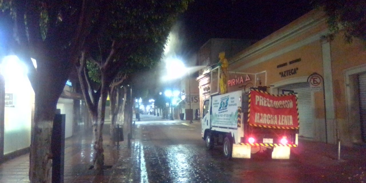 Con trabajos nocturnos atienden árboles en León para evitar plagas