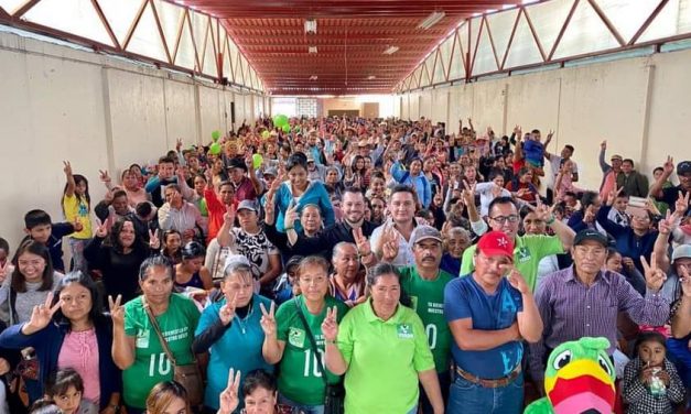 Partido Verde sin alianzas en municipios de Guanajuato