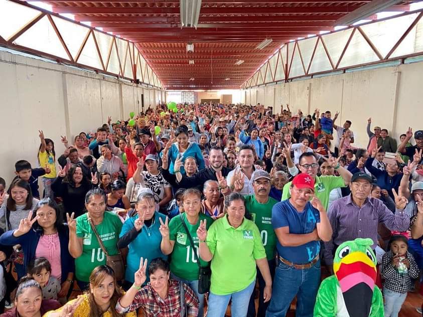 Partido Verde sin alianzas en municipios de Guanajuato