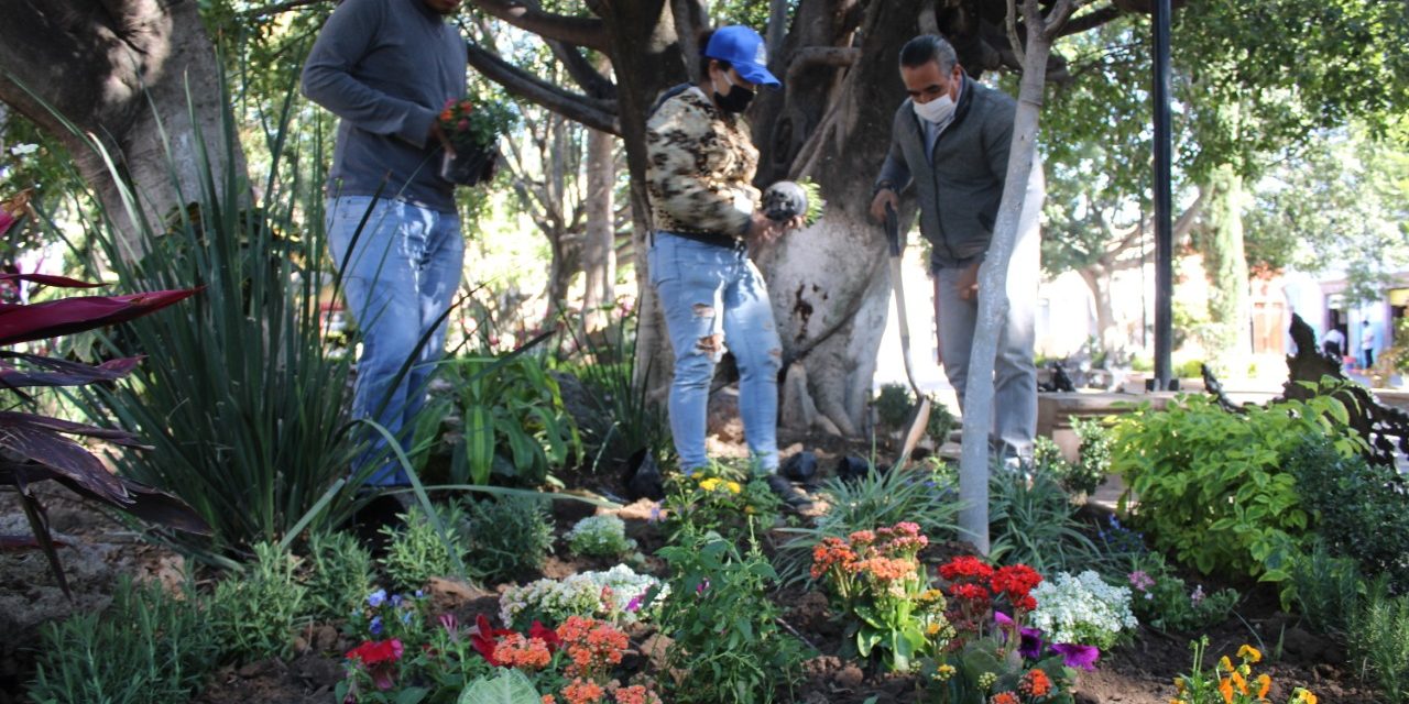 Construyen jardines polinizadores en Purísima del Rincón