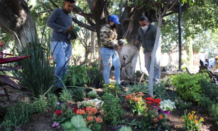Construyen jardines polinizadores en Purísima del Rincón