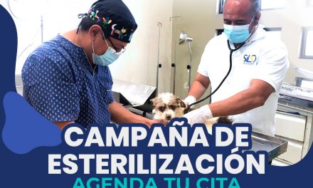Agenda la cita de esterilización de tu mascota en el Centro de Atención Animal de Silao