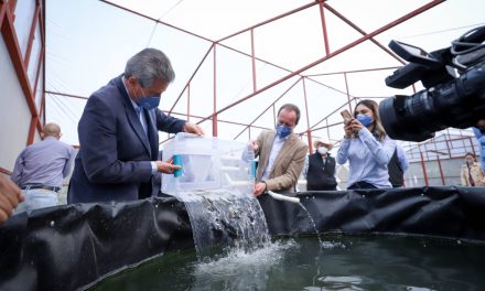 Entregan equipos para captación de agua de lluvia, y producción de peces y hortalizas en León