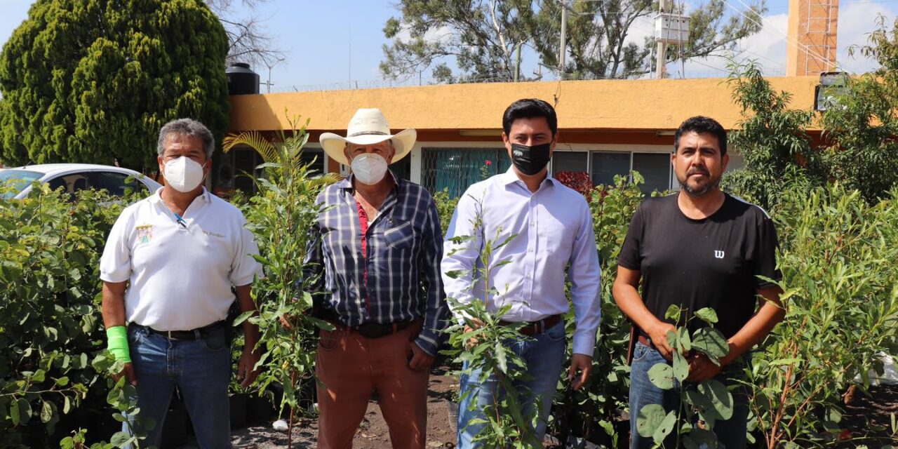 Plantarán miles de árboles en Manuel Doblado