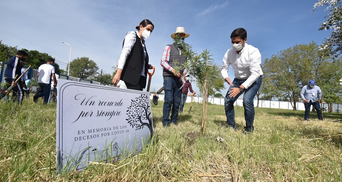 Brindan homenaje a las y los francorrinconeses que fallecieron víctimas de COVID-19