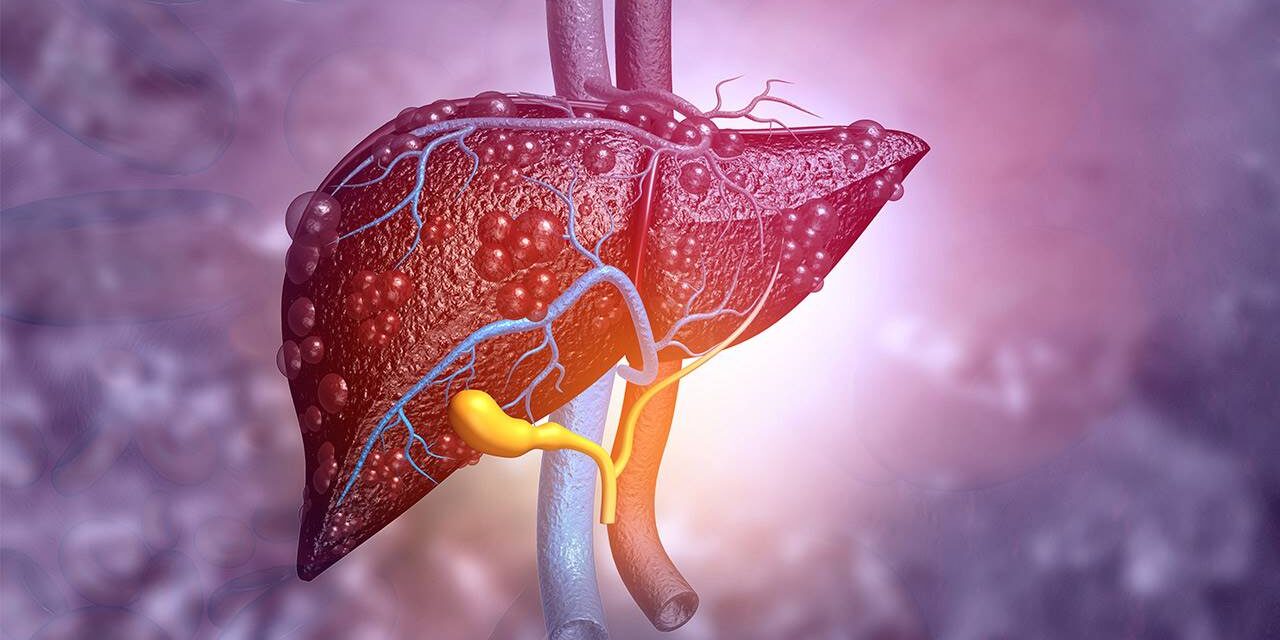 El Rincón del IMSS: «Atender hepatitis evita fibrosis en el hígado»