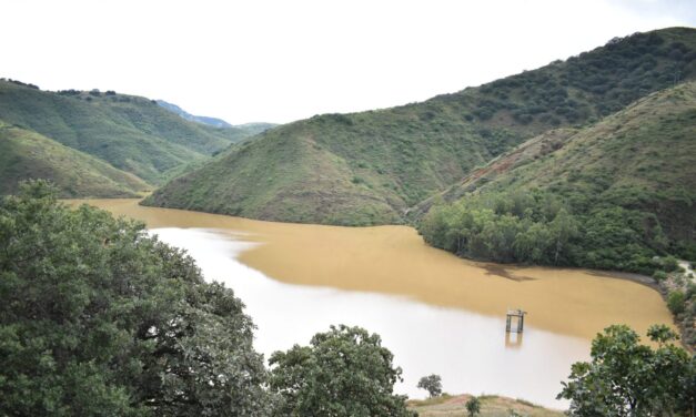 Presas de Guanajuato llegan al 83.14% de almacenamiento