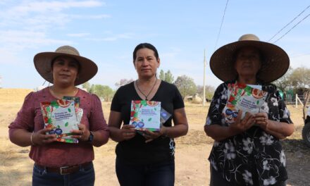 DIF Manuel Doblado instala Huertos Domésticos en comunidades