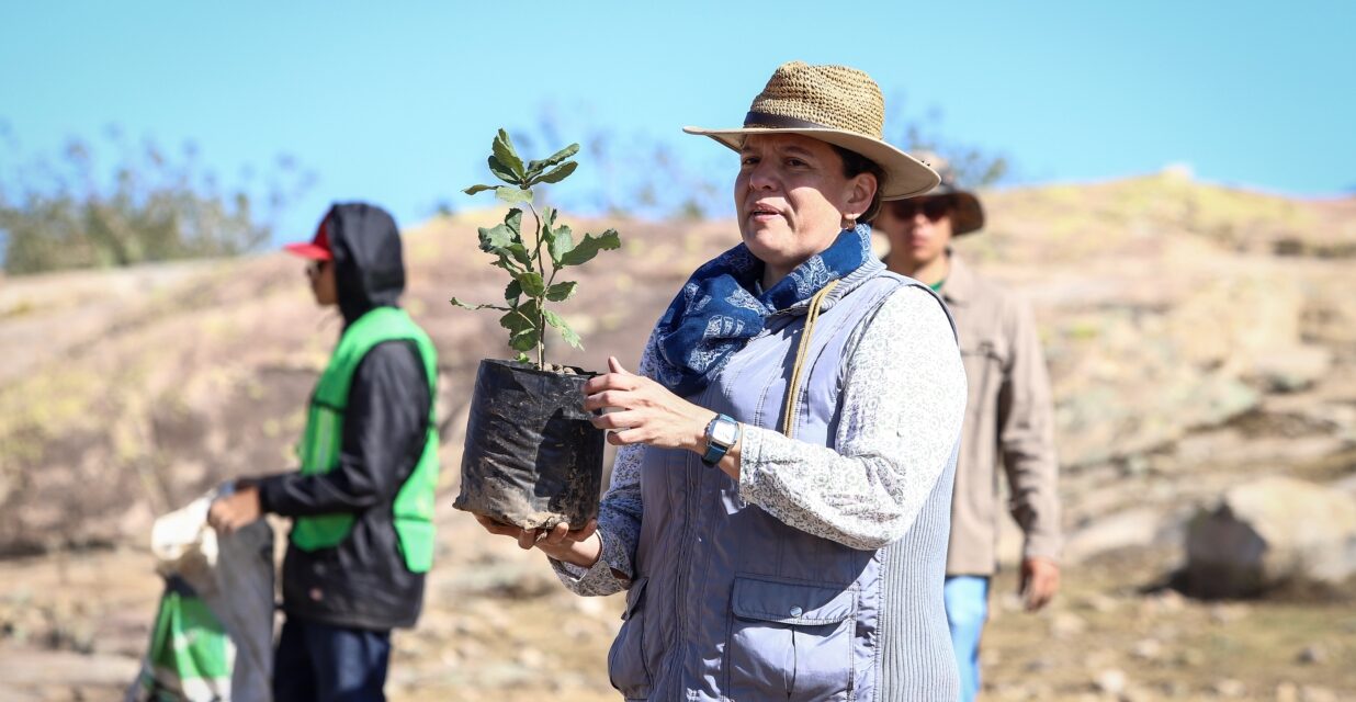 En comunidades de León plantan más de mil árboles