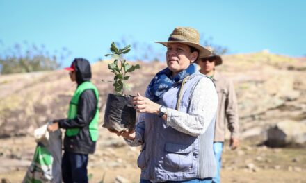 En comunidades de León plantan más de mil árboles