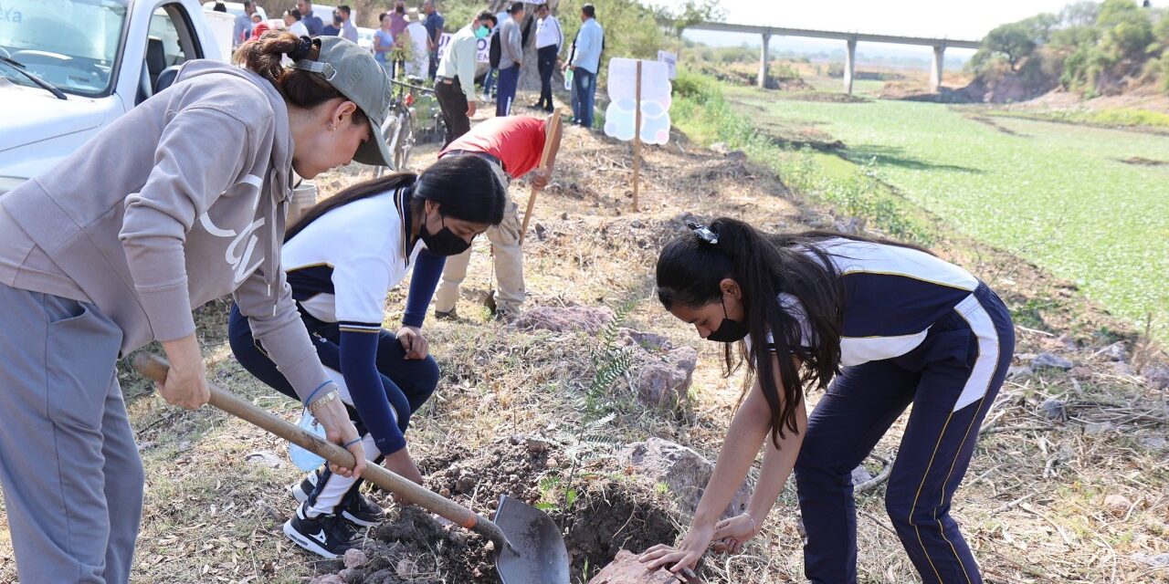 Reforestan en comunidades de Purísima del Rincón