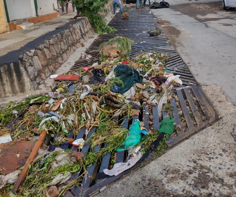 Lluvia arrastra 36 toneladas de basura en León