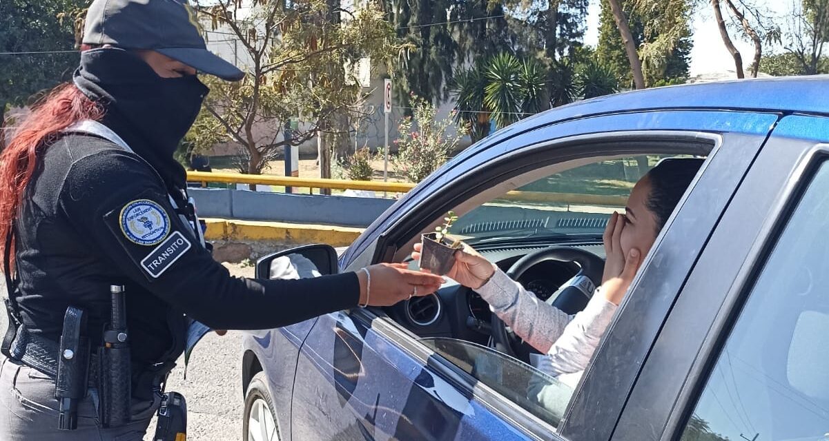 Más habitantes de León verifican sus autos