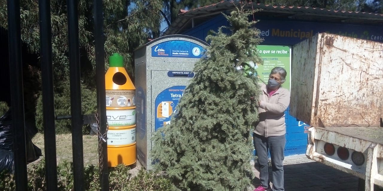 Arranca Campaña «Recicla tu árbol» en León