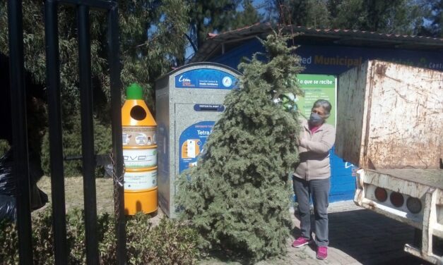 Arranca Campaña «Recicla tu árbol» en León